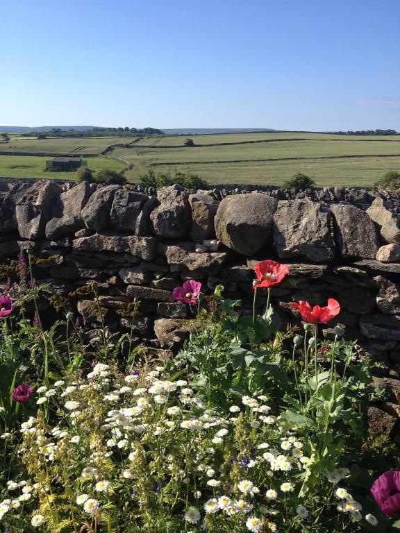 Bed and Breakfast Curlew Barn à Leyburn Extérieur photo